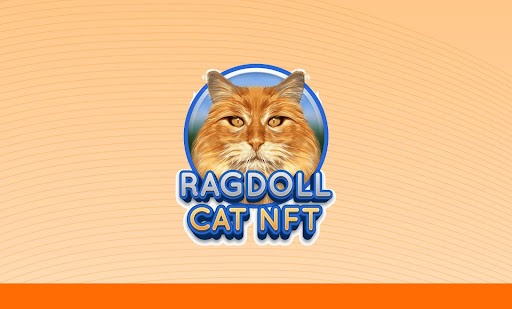 Ragdoll-Cat-NFT-Marketplace-1